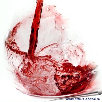 Приготовление вин из ягод и фруктов, как правильно приготовить вино, белое, розовое, красное вино, вино из малины, вино из черной смородины, вино из красной смородины, вино из яблок, красное вишневое вино, рябиновое крепкое вино, процесс приготовления вин, столовые вина, десертные вина, сладкое земляничное вино, сладкое черносмородиновое вино, Настольная книга садовода, плодовый и ягодный сад Северо-Западного региона России, все о плодовом и ягодном саде, где купить саженцы, питомники плодовых деревьев, выращивание плодовых деревьев, как вырастить ягодные культуры, все о сохранении урожая, консервация урожая, как сделать вино, как сварить варенье, как засушить фрукты и ягоды, обрезка деревьев, обработка почвы, полив, защита от вредителей, выбор саженцев и сортов, как окультурить сад, оформление сада, офрмление садового учатска в собственность, все о плодоносящем саде, подготовка сада к зимовке и плодоношениию, удобрения для сада